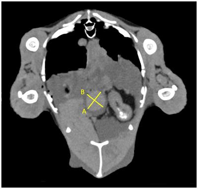 Computed tomography of the spleen in chickens